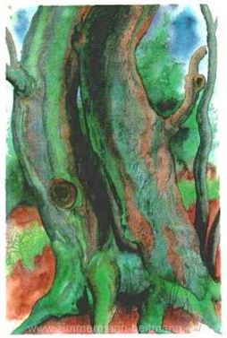 Günter Grass "Bäume II" aus dem Jahr 2001