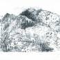 Günter Grass "Italienische Landschaft"