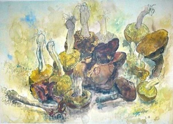 Günter Grass "Stilleben mit Pilzen"