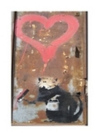  "Love Rat"