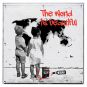 Paul Thierry "The world is beautiful"