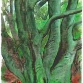 Günter Grass "Bäume I"