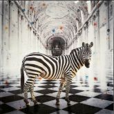 Paul Thierry "Two Zebra"