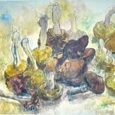 Günter Grass "Stilleben mit Pilzen"