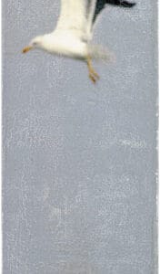 Einen Blick nach unten wagen – Bild 1