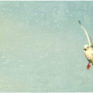 Quereinsteiger *In – Bild 1