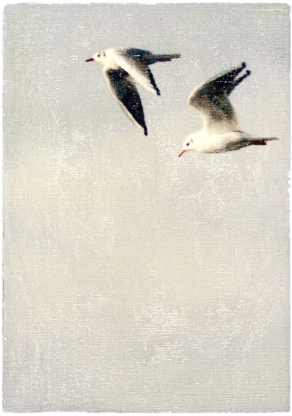 2024_spoxo_dieses_ewige_aufab_800