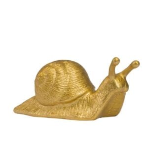 Avantgarde-Schnecke – Bild 7