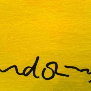 Sie spielet Cello (Groß) – Bild 4