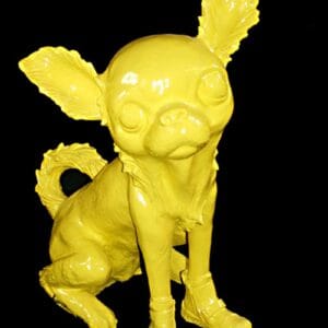 Cloned Yellow Chihuahua – Bild 1