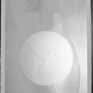 Leta And The Swan – Mappe mit 10 Lithografien – Bild 3