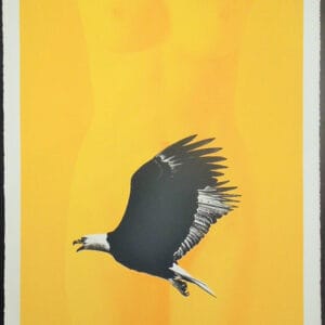 Leta And The Swan – Mappe mit 10 Lithografien – Bild 6