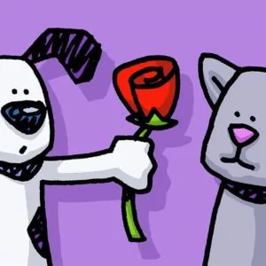 A rose by any other name