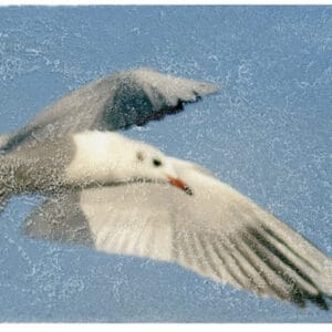 Ein gutes Bild abgeben – Bild 1