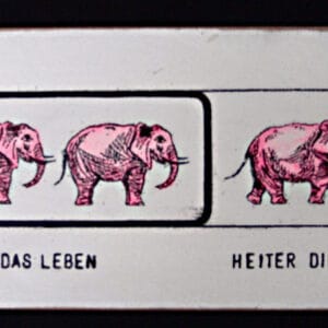 Ernst ist das Leben ... (Elefant) – Bild 1