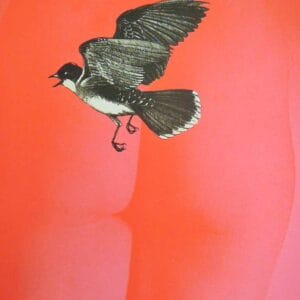 Leta And The Swan – Mappe mit 10 Lithografien – Bild 7