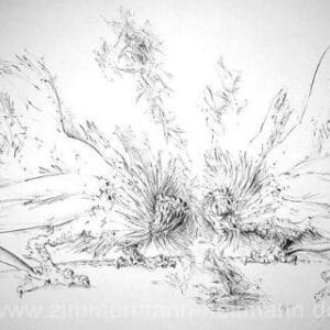 Großer Hahnenkampf – Bild 1