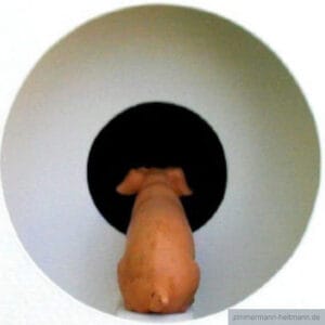 Guck mal! – Bild 1