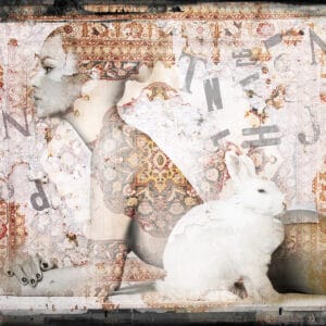 Wild Bunny I – Bild 1