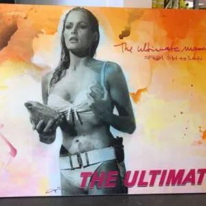 The Ultimate – Bild 1