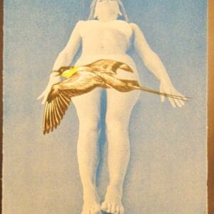 Leta And The Swan – Mappe mit 10 Lithografien – Bild 9