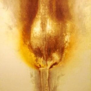 Lady Fire – Bild 1