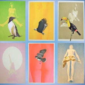 Leta And The Swan – Mappe mit 10 Lithografien – Bild 1