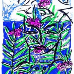 Mallorca Oleander – Bild 1