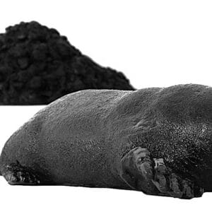 Maulwurf mit Hügel – Bild 1