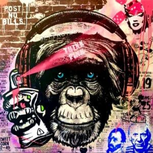 Funky Monkey – Bild 1