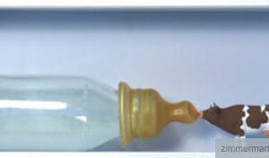 Naschkatze – Bild 1