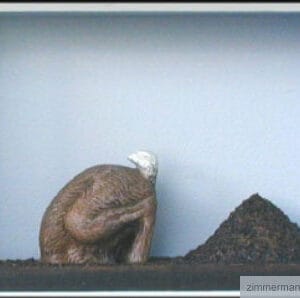 Nix wie weg – Bild 1