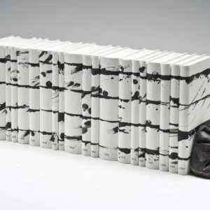 Unalphabetische Zeilen – Nobelpreisbibliothek – Bild 1