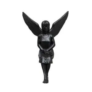 Engel Evolution – Bild 1