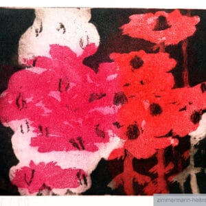 Phlox und Echinacea – Bild 1