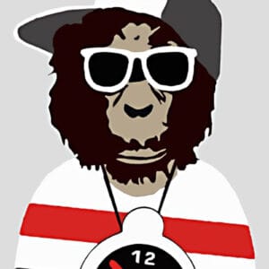 Public Enemy – Bild 1