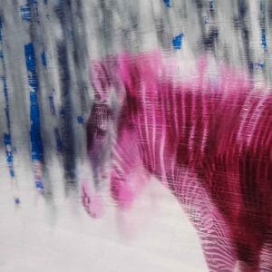 Schwarzes Schaf – Bild 3