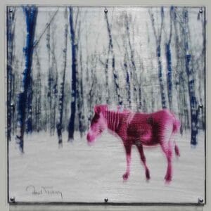 Schwarzes Schaf – Bild 1