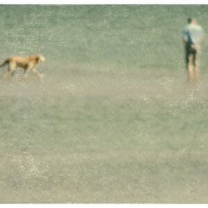 Ich geh mit dir wohin du willst – Bild 1