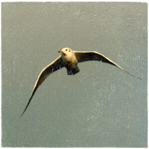 Nur einen Flügelschlag entfernt – Bild 1