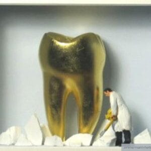 Vom Zahnstein befreit – Bild 1