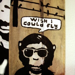 Wish I could Fly – Bild 1
