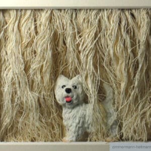 Wo ist Harry – Bild 1