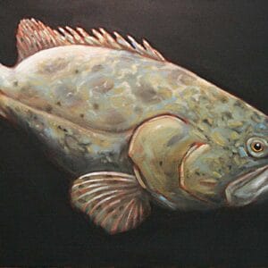 Zackenbarsch – Bild 1