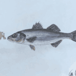 Otto Waalkes - Bouillabaise d'Ottifant