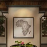 Francisco Bartus - Africa