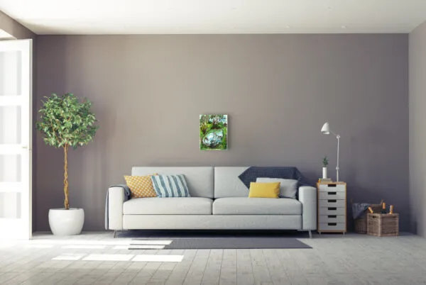 Günter Grass - Spiegelbilder