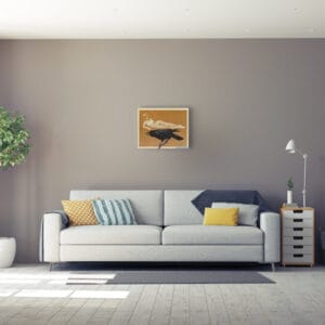 The Raven – Bild 2