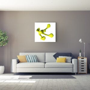 Flossi Gross IV, Gelb – Bild 2