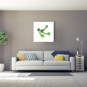 Flossi Gross IV, Grün – Bild 2